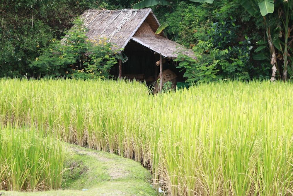 Chompor Lanna Hotel 치앙마이 외부 사진